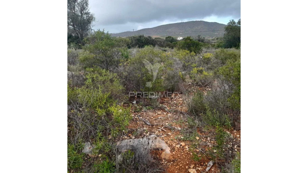 Terreno para Venda em Quelfes Foto 3