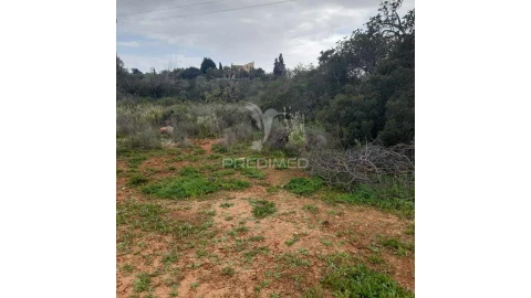 Terreno para Venda em Quelfes
