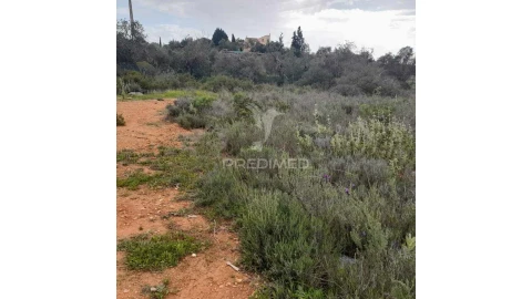 Terreno para Venda em Quelfes