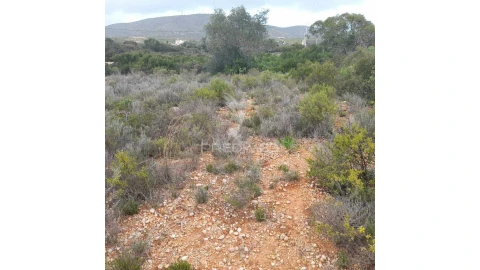 Terreno para Venda em Quelfes