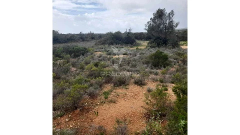 Terreno para Venda em Quelfes