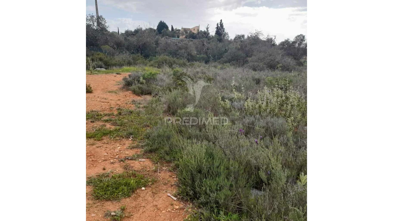 Terreno para Venda em Quelfes Foto 2