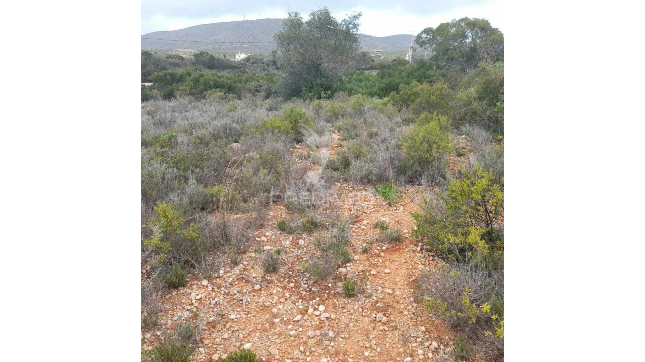 Terreno para Venda em Quelfes Foto 8