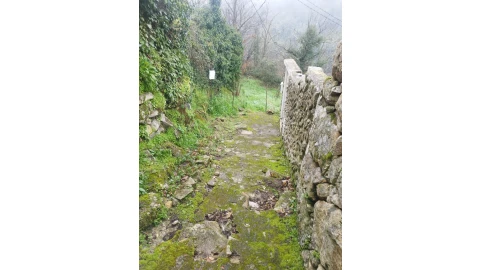 Moradia T5 para Venda em Pena, Quintã e Vila Cova