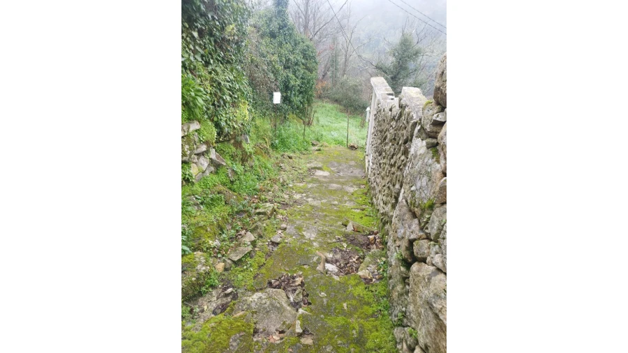 Moradia T5 para Venda em Pena, Quintã e Vila Cova Foto 23