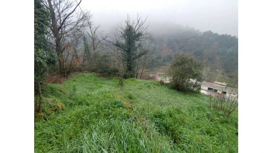 Moradia T5 para Venda em Pena, Quintã e Vila Cova Foto 24