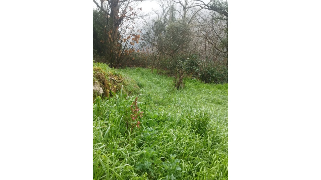Moradia T5 para Venda em Pena, Quintã e Vila Cova Foto 25