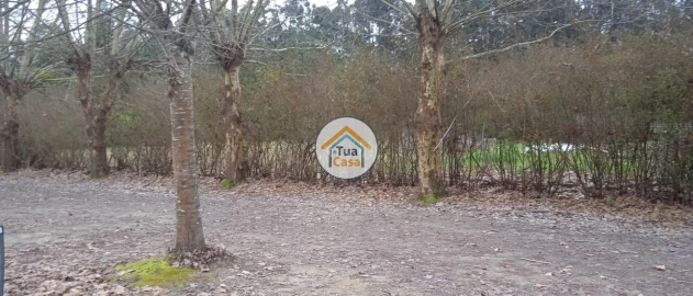 Terreno para Venda em Fonte de Angeão e Covão do Lobo