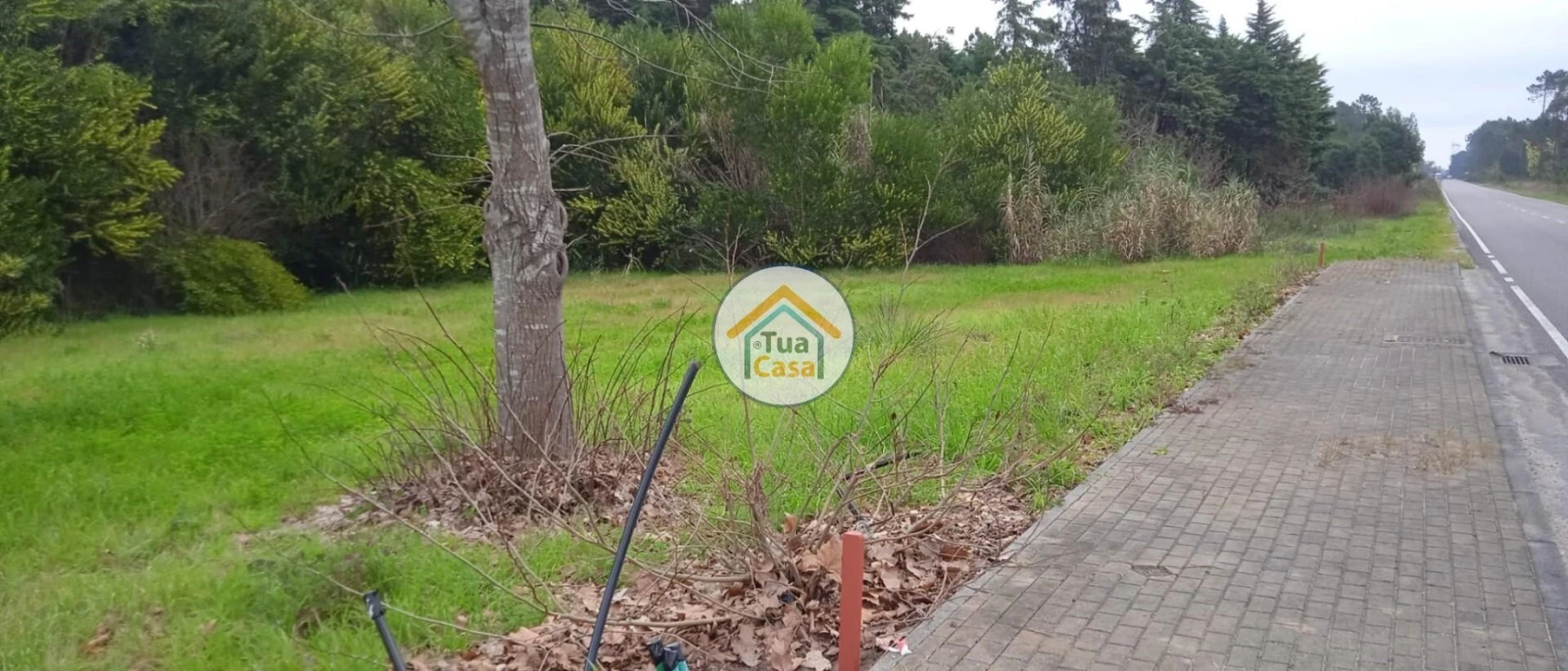 Terreno para Venda em Fonte de Angeão e Covão do Lobo Foto 20