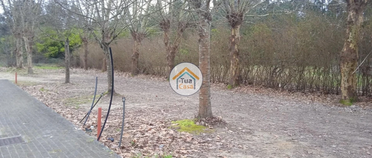 Terreno para Venda em Fonte de Angeão e Covão do Lobo Foto 19