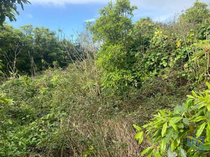 Moradia T2 para Venda em Santo Amaro Foto 5