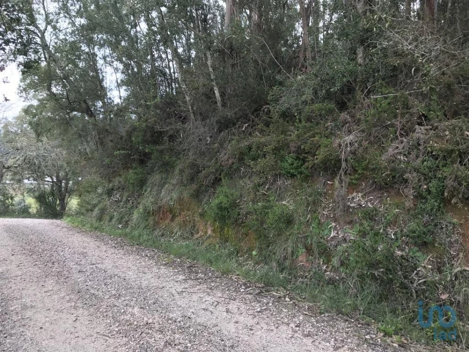 Terreno para Venda em Santiago e São Simão de Litém e Albergaria dos Doze Foto 8