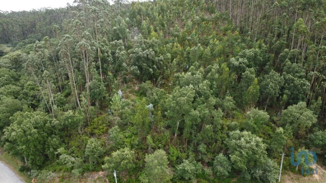 Terreno para Venda em Santiago e São Simão de Litém e Albergaria dos Doze Foto 1