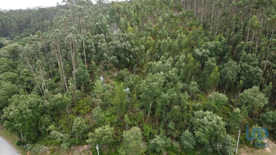 Terreno para Venda em Santiago e São Simão de Litém e Albergaria dos Doze Foto 1