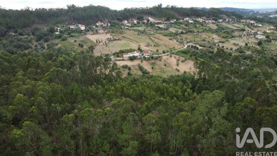 Terreno para Venda em Santiago e São Simão de Litém e Albergaria dos Doze Foto 20