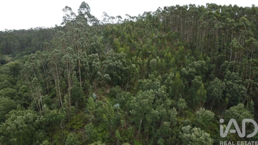 Terreno para Venda em Santiago e São Simão de Litém e Albergaria dos Doze Foto 23