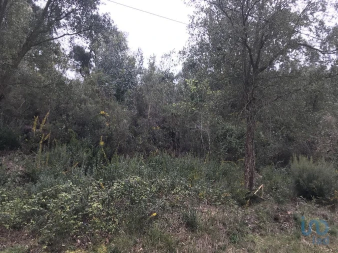 Terreno para Venda em Santiago e São Simão de Litém e Albergaria dos Doze Foto 11