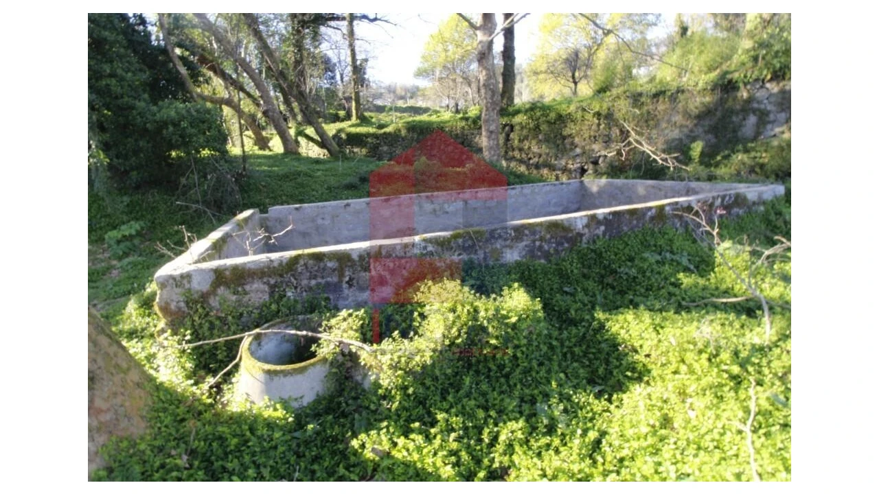 Quinta T12 para Venda em Prado (São Miguel) Foto 80