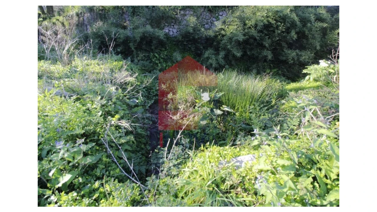 Quinta T12 para Venda em Prado (São Miguel) Foto 79