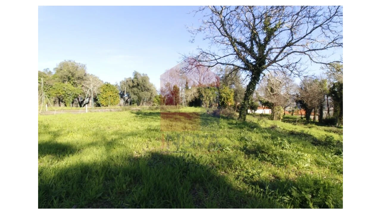 Quinta T12 para Venda em Prado (São Miguel) Foto 71