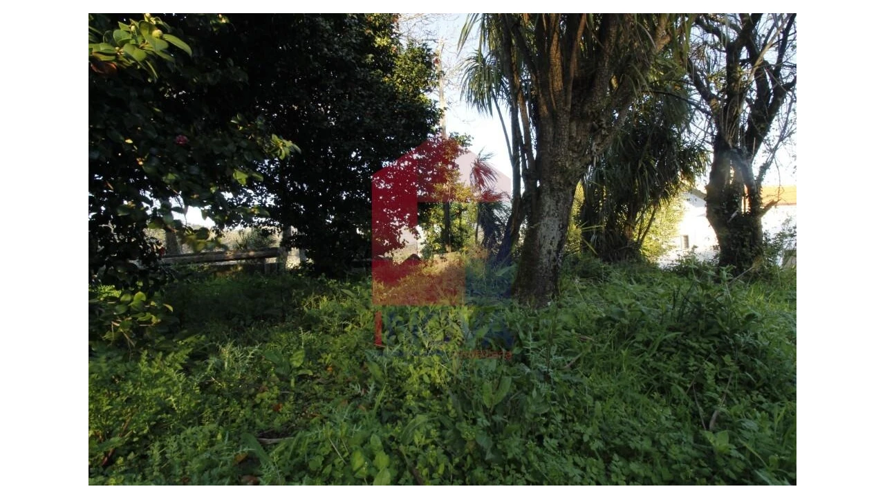 Quinta T12 para Venda em Prado (São Miguel) Foto 55