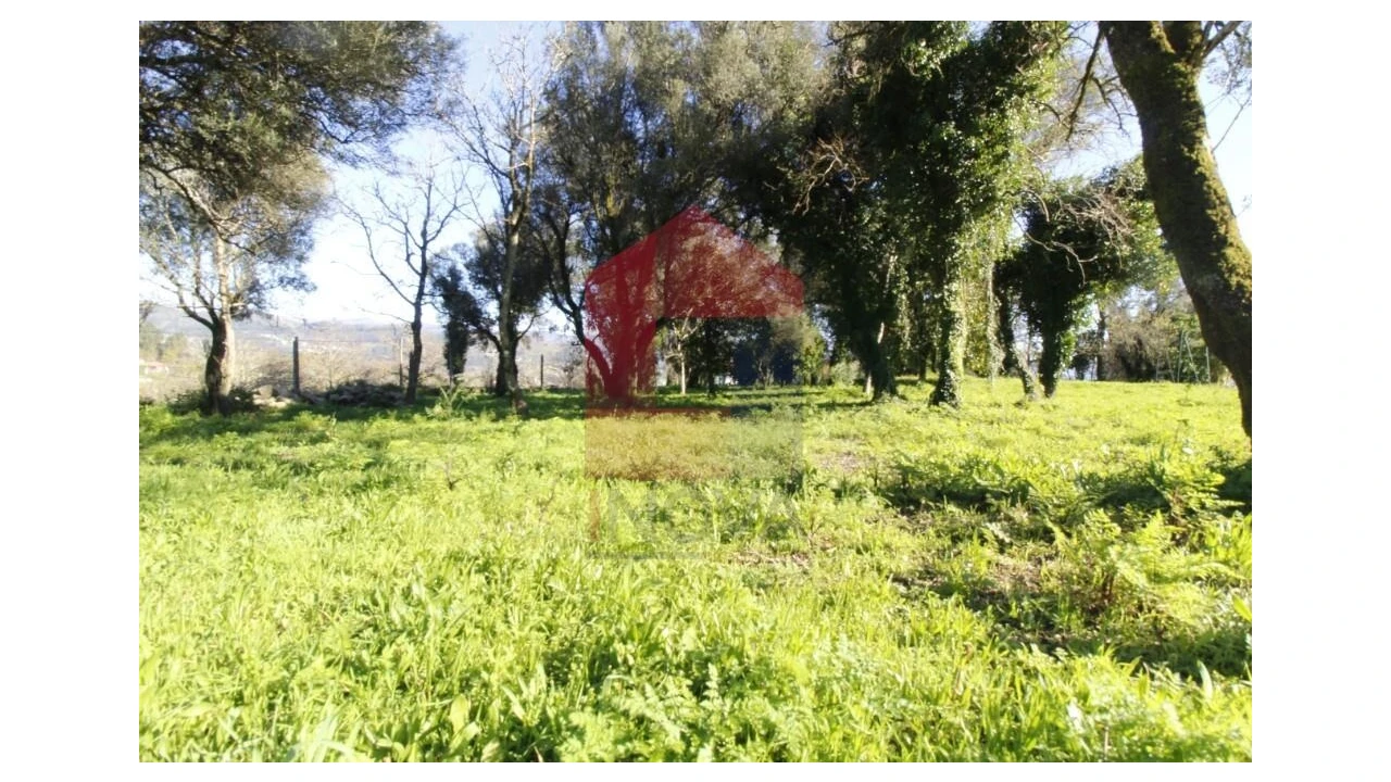 Quinta T12 para Venda em Prado (São Miguel) Foto 68