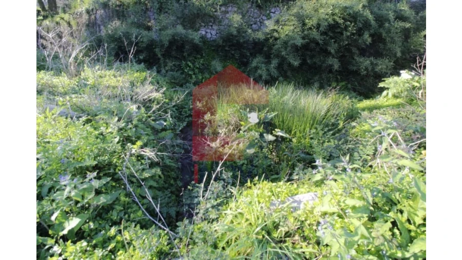 Quinta T12 para Venda em Prado (São Miguel) Foto 79