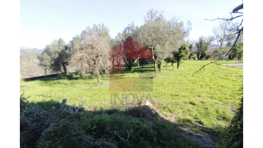 Quinta T12 para Venda em Prado (São Miguel) Foto 59