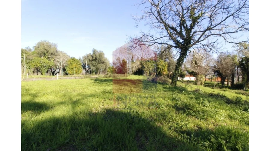 Quinta T12 para Venda em Prado (São Miguel) Foto 71