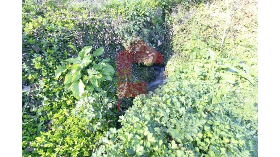 Quinta T12 para Venda em Prado (São Miguel) Foto 82