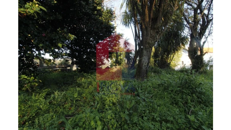 Quinta T12 para Venda em Prado (São Miguel) Foto 55