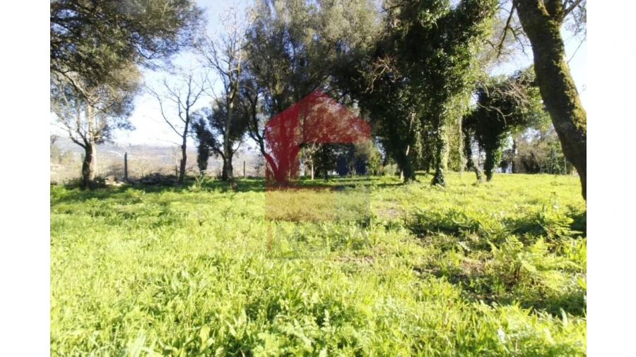 Quinta T12 para Venda em Prado (São Miguel) Foto 68