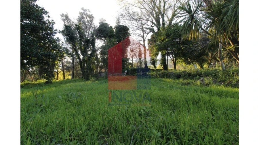 Quinta T12 para Venda em Prado (São Miguel) Foto 56