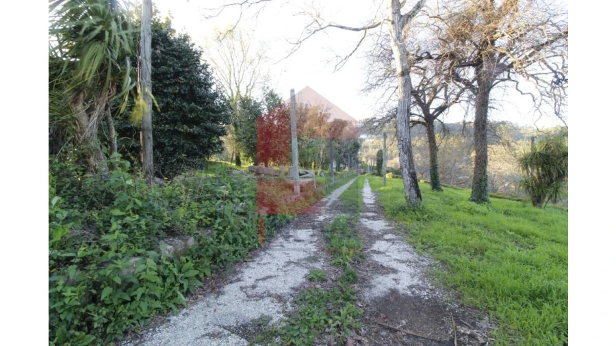 Quinta T12 para Venda em Prado (São Miguel) Foto 49