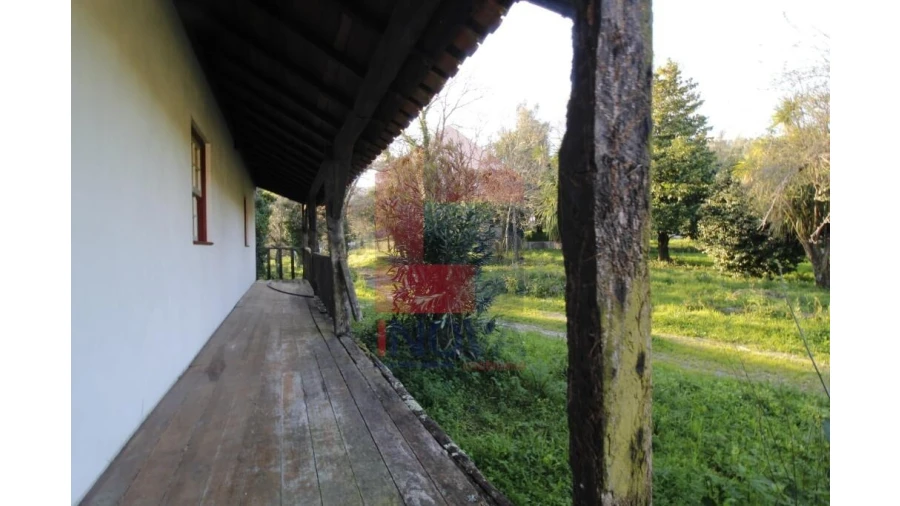 Quinta T12 para Venda em Prado (São Miguel) Foto 45