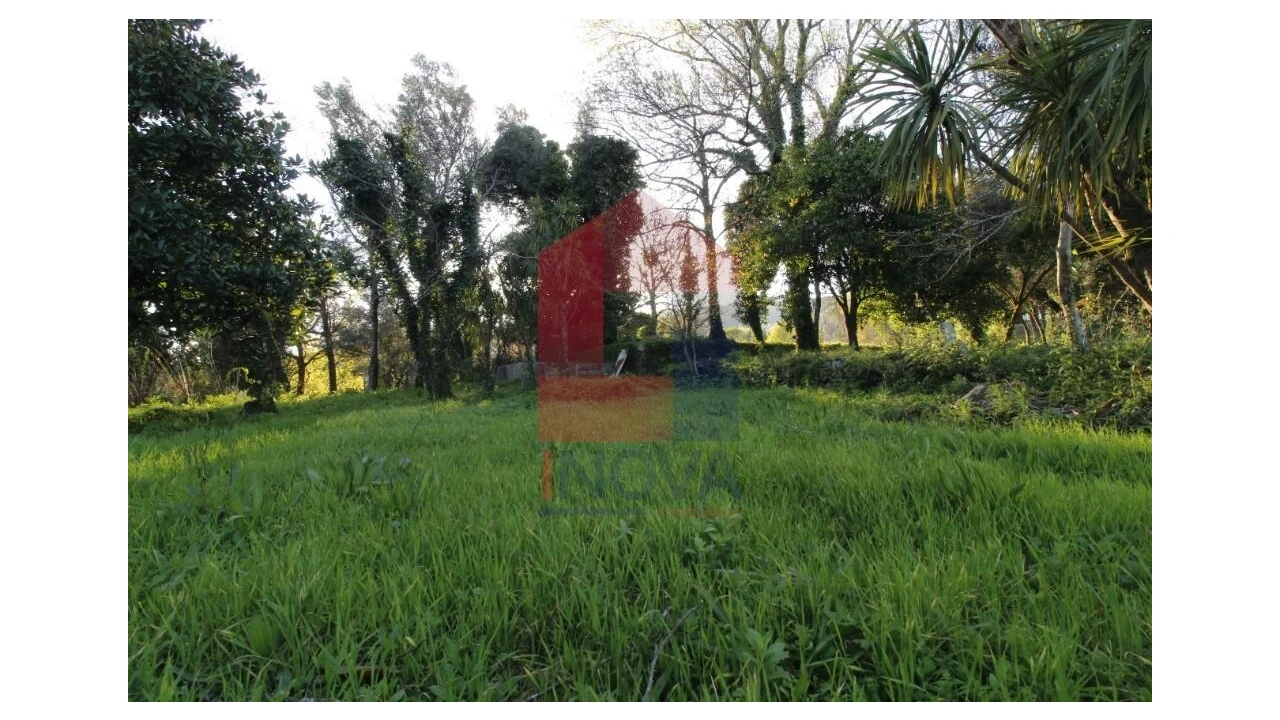 Quinta T12 para Venda em Prado (São Miguel) Foto 56