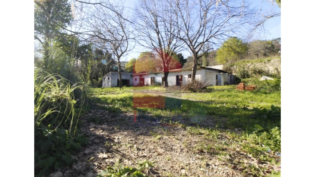 Quinta T12 para Venda em Prado (São Miguel) Foto 74