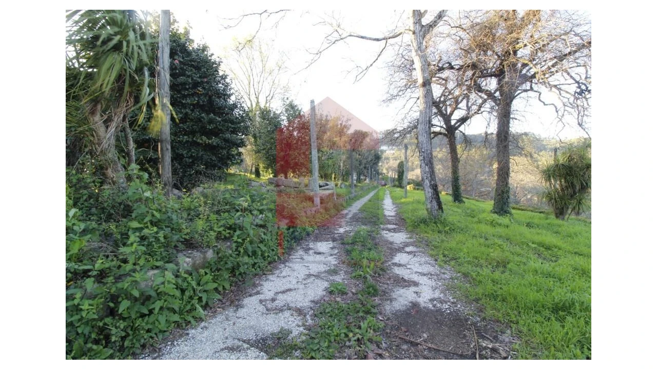 Quinta T12 para Venda em Prado (São Miguel) Foto 49