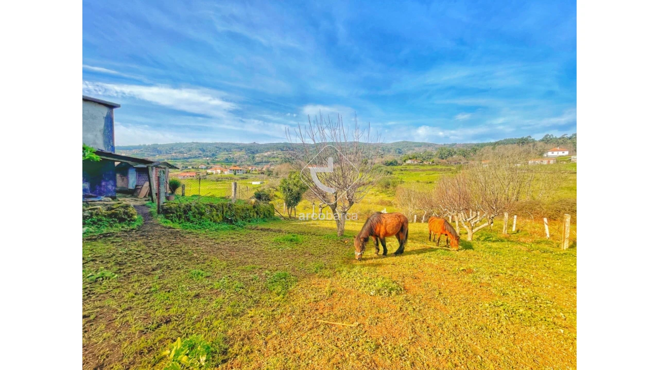 Moradia T4 para Venda em Miranda Foto 25