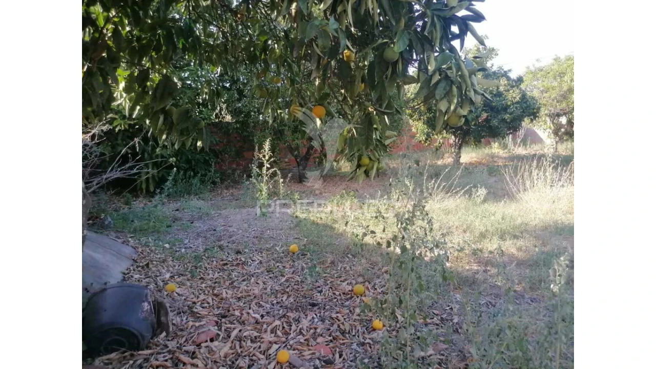 Moradia T4 para Venda em Alagoa Foto 20
