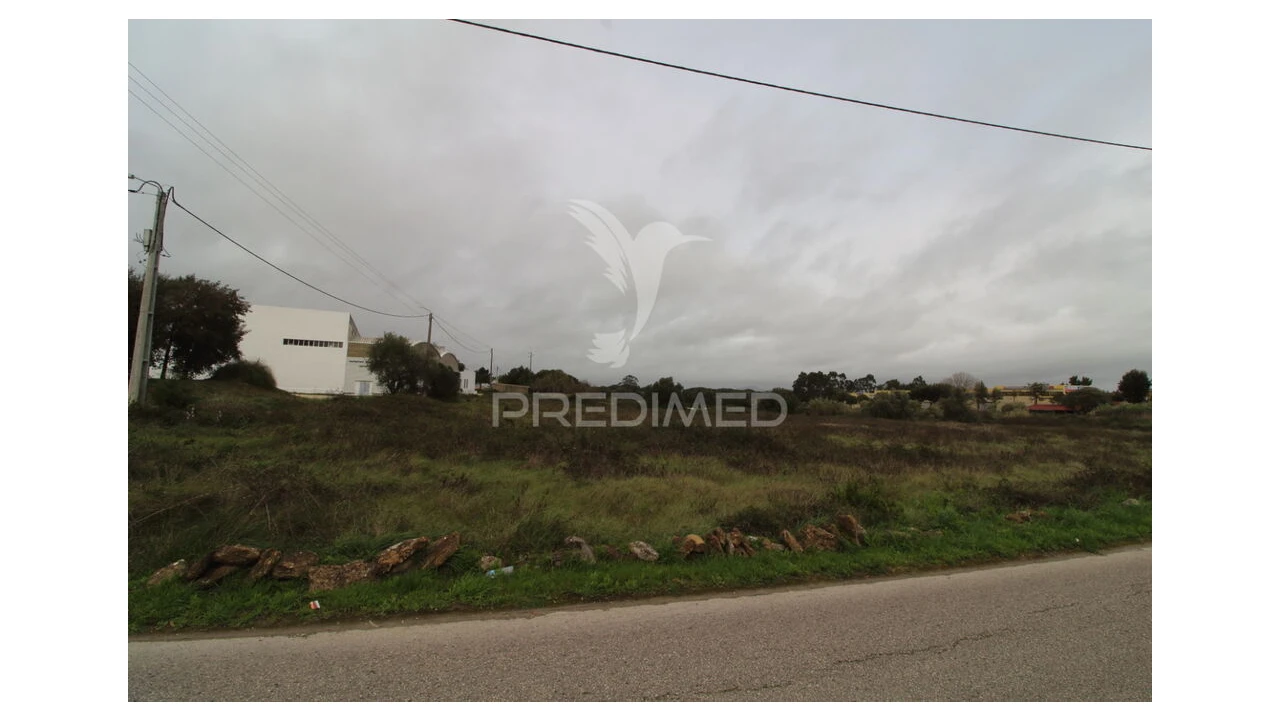 Terreno para Venda em Santa Maria e São Miguel, São Martinho, São Pedro Penaferrim Foto 6