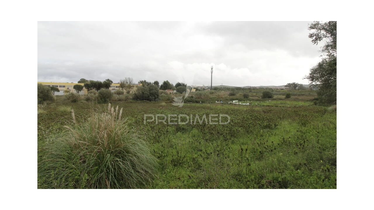 Terreno para Venda em Santa Maria e São Miguel, São Martinho, São Pedro Penaferrim Foto 8