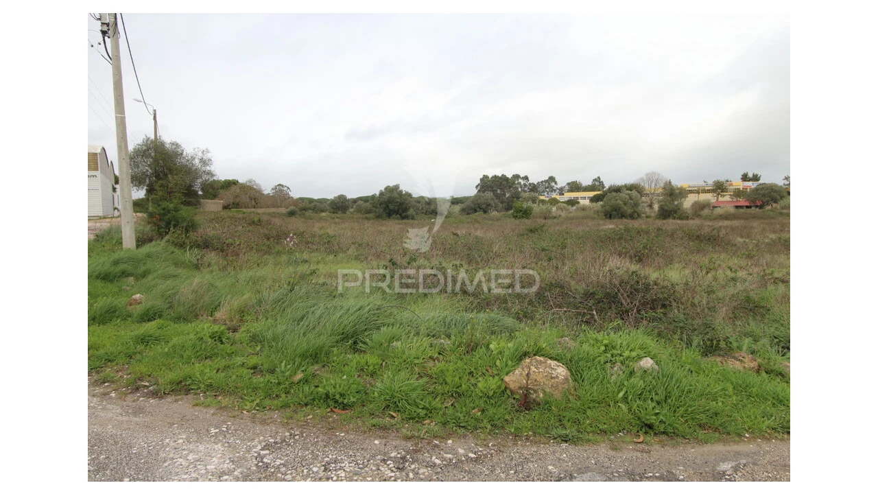 Terreno para Venda em Santa Maria e São Miguel, São Martinho, São Pedro Penaferrim Foto 10