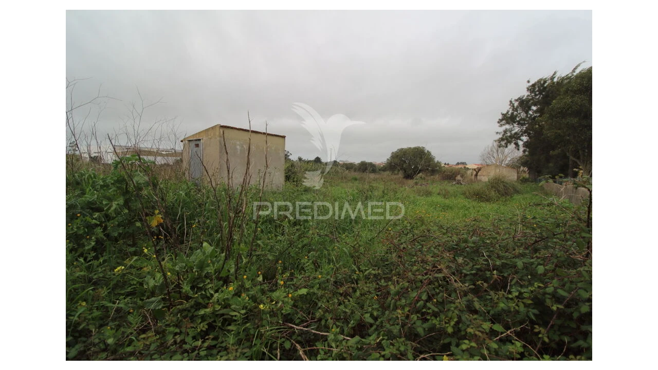 Terreno para Venda em Santa Maria e São Miguel, São Martinho, São Pedro Penaferrim Foto 7