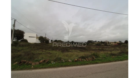 Terreno para Venda em Santa Maria e São Miguel, São Martinho, São Pedro Penaferrim