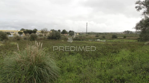 Terreno para Venda em Santa Maria e São Miguel, São Martinho, São Pedro Penaferrim