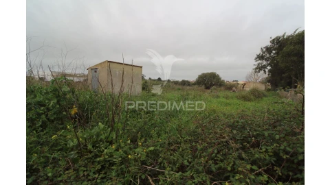 Terreno para Venda em Santa Maria e São Miguel, São Martinho, São Pedro Penaferrim