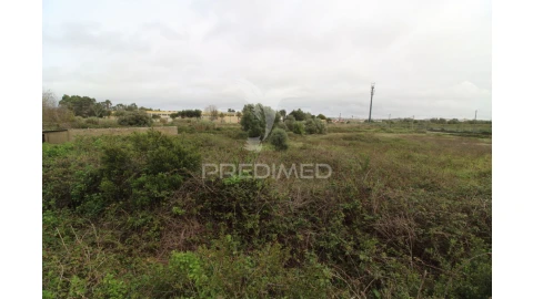 Terreno para Venda em Santa Maria e São Miguel, São Martinho, São Pedro Penaferrim