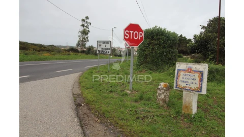 Terreno para Venda em Santa Maria e São Miguel, São Martinho, São Pedro Penaferrim