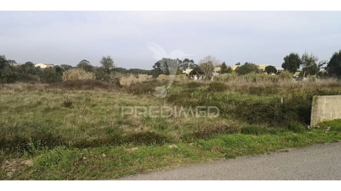 Terreno para Venda em Santa Maria e São Miguel, São Martinho, São Pedro Penaferrim